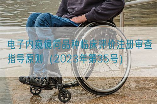 電子內(nèi)窺鏡同品種臨床評價(jià)注冊審查指導(dǎo)原則（2023年第35號）(圖1)