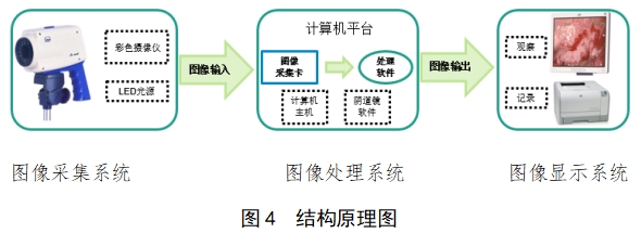 電子陰道顯微鏡注冊技術(shù)審查指導原則（2018年第15號）(圖3)