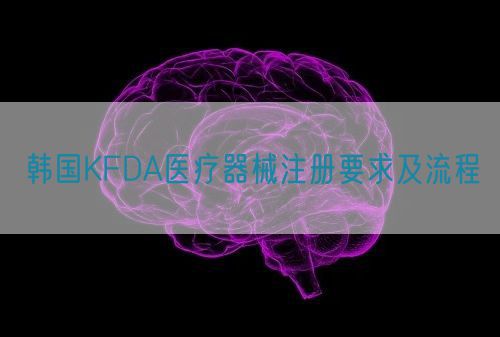 韓國KFDA醫(yī)療器械注冊(cè)要求及流程(圖1)