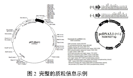 重組人源化膠原蛋白原材料評價指導(dǎo)原則（2023年第16號）(圖6)