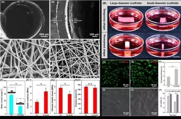 生物相容性是什么？如何準備生物相容性檢測的樣品？(圖2)