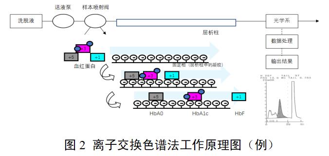 糖化血紅蛋白分析儀注冊(cè)審查指導(dǎo)原則（2022年第35號(hào)）(圖2)